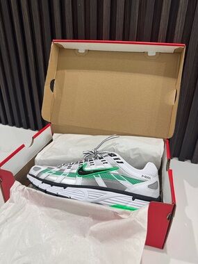 Mens Nike P-6000